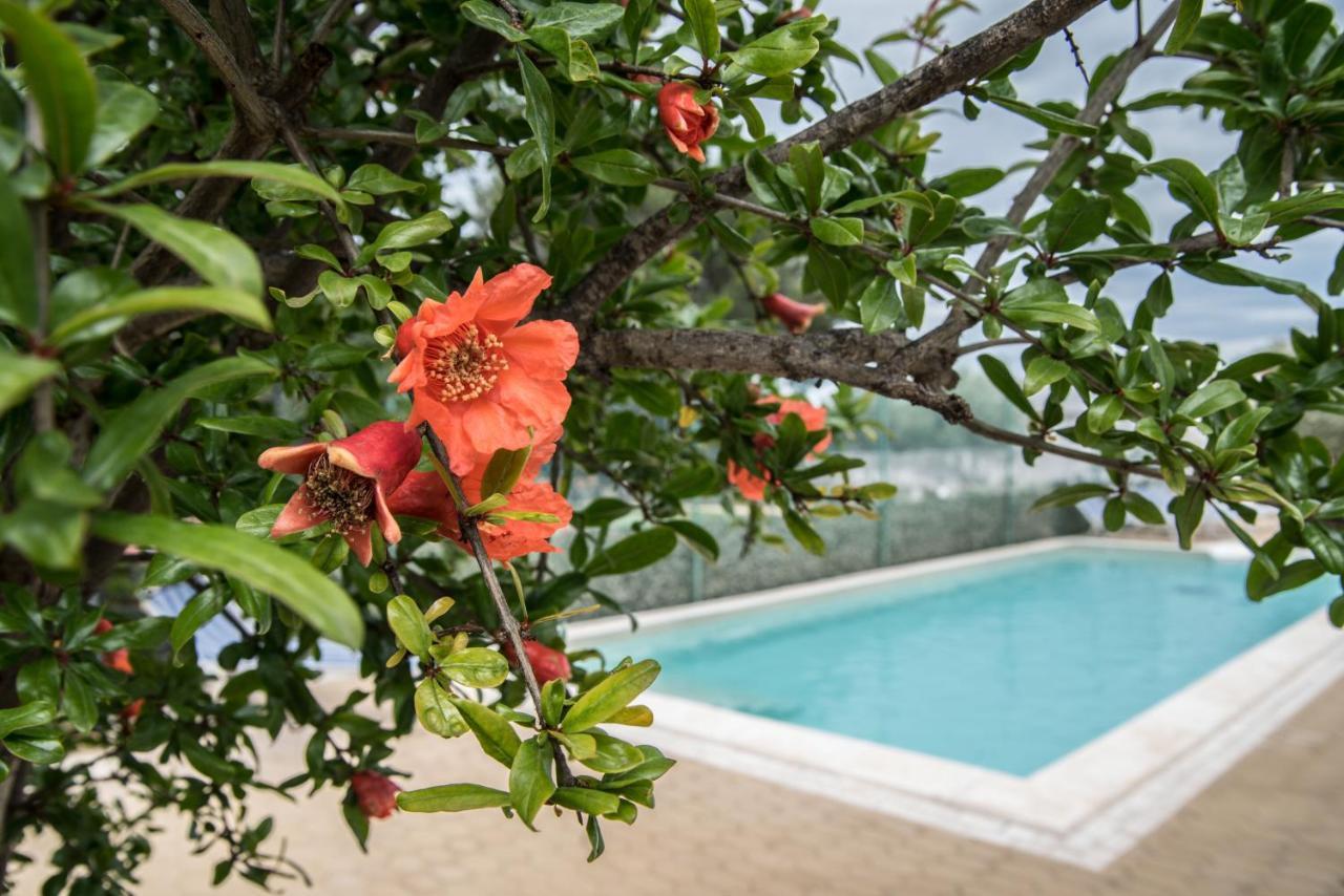 Villa Lara Polignano a Mare Εξωτερικό φωτογραφία